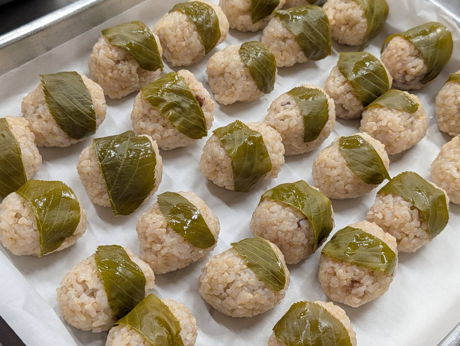 久留米市晴明保育園フォトギャラリー